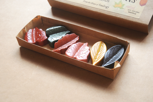 Leaf-Shaped Beeswax Crayons – Woodlands Edition