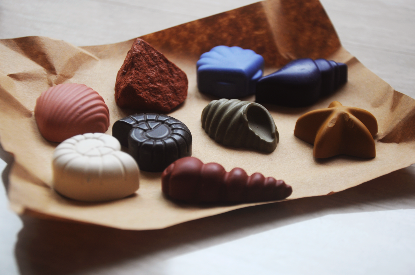 Ocean Shells 8 Natural Beeswax Seashell Crayons