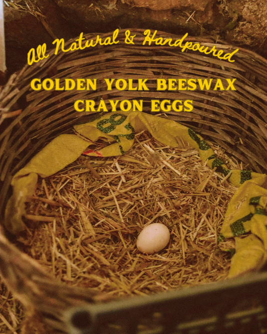 Inspired Colours of Smilogy Beeswax Golden Yolk Half Egg Crayons