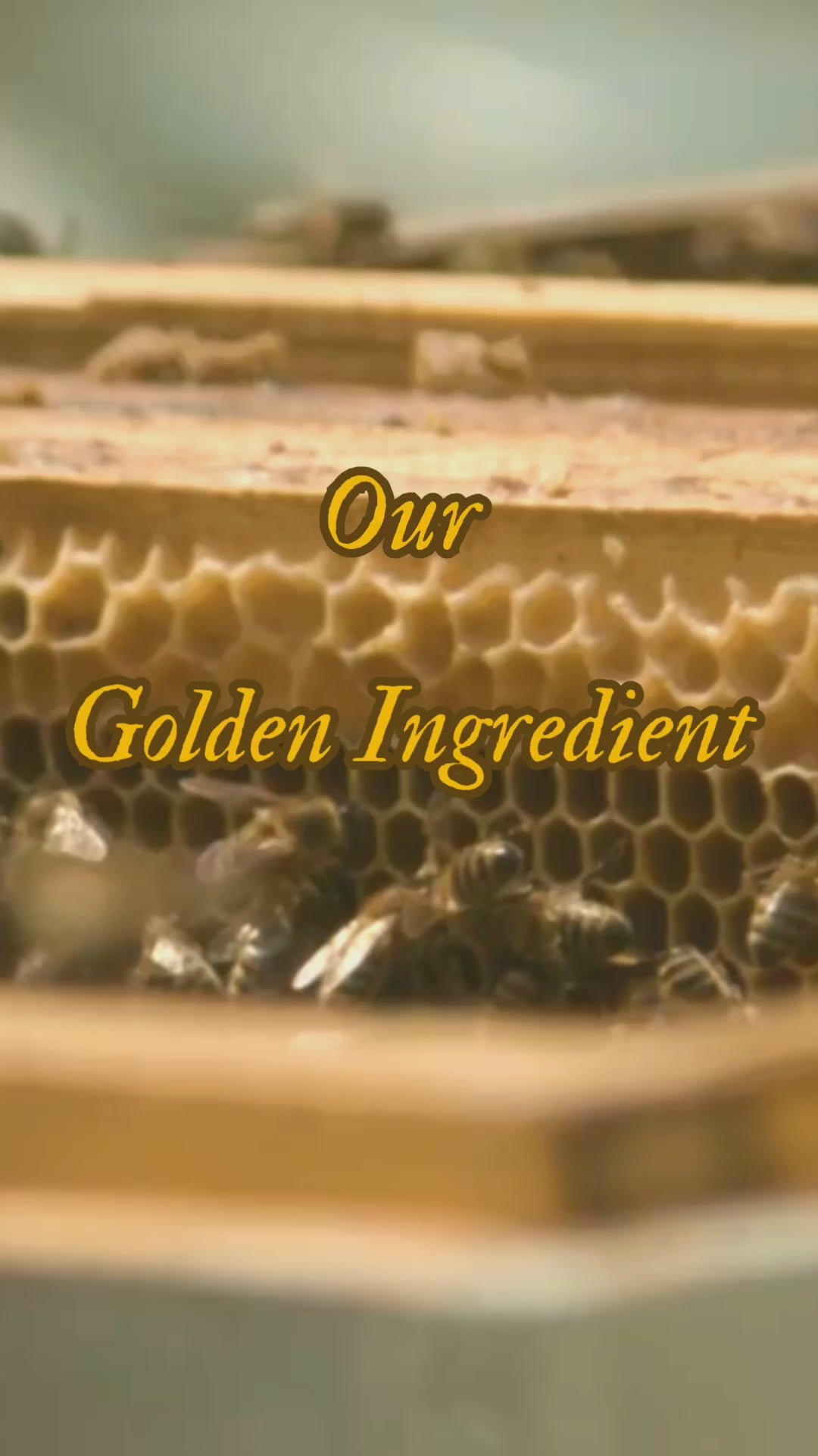 Load video: A short video on how beeswax is produced and its benefits for children&#39;s crayons