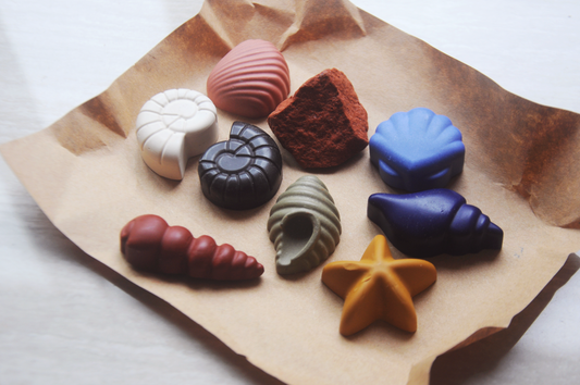 Ocean Shells 8 Natural Beeswax Seashell Crayons